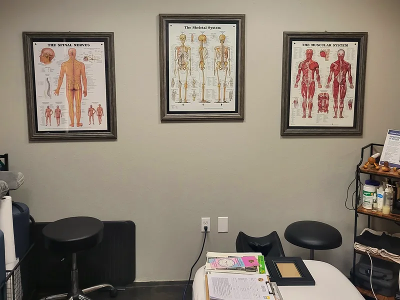 Spinal nerve, skeletal and muscular system charts above the treatment table in Lake Mary, FL